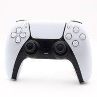 PS5 Tilbehør